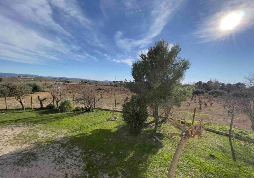 Casa Rural Cal Caseto Font-Rubi Esterno foto