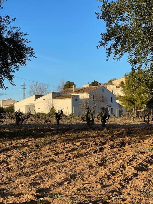 Casa Rural Cal Caseto Font-Rubi Esterno foto